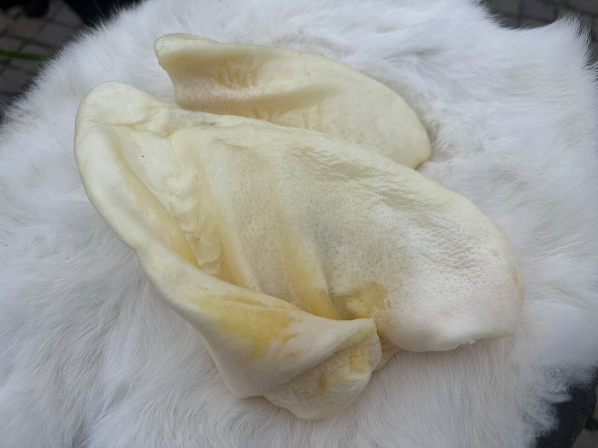 Puffat Grisöra – Krispigt & fettsnålt hundtugg