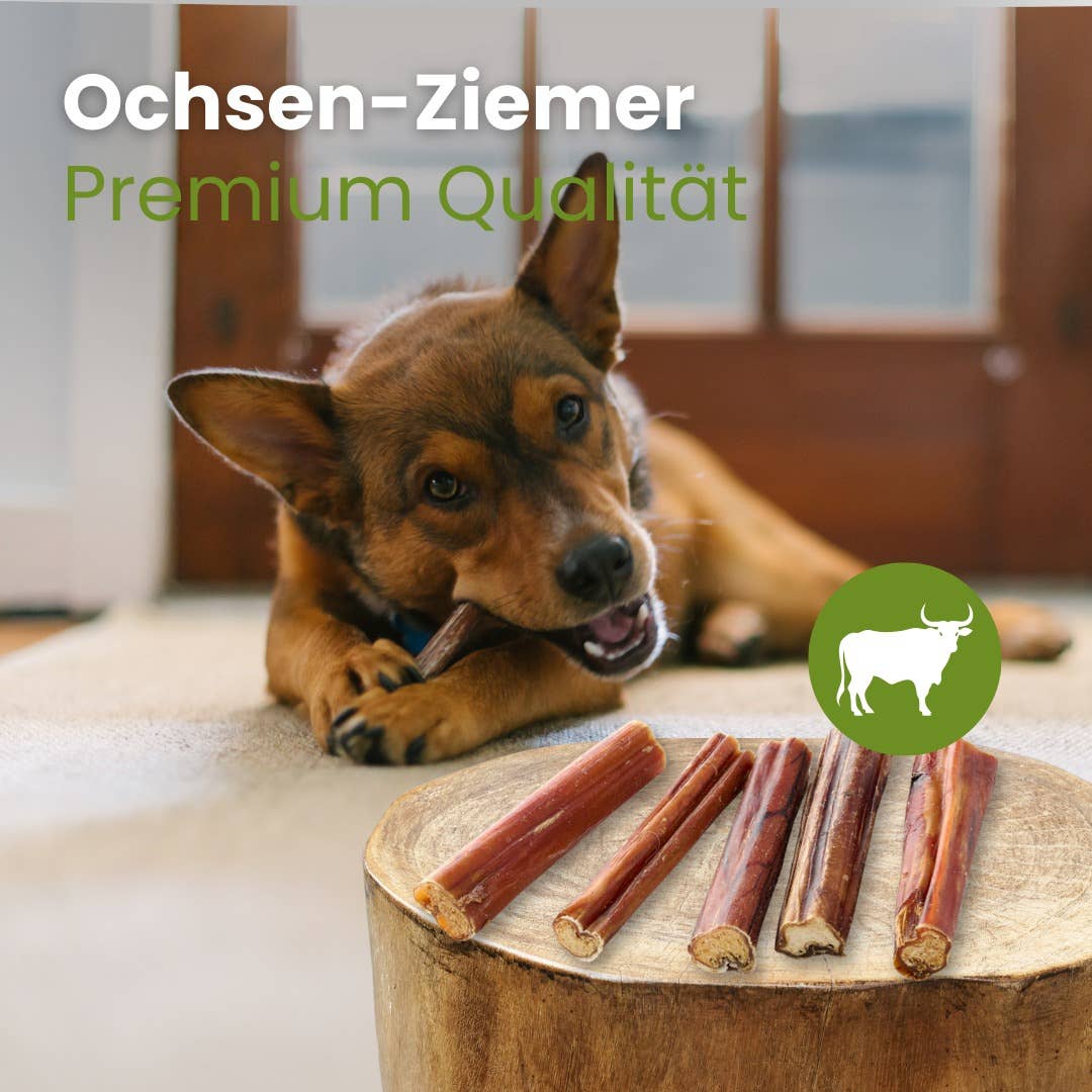 Kauartikel.com GmbH - Ox-Ziemer premiumkvalitet