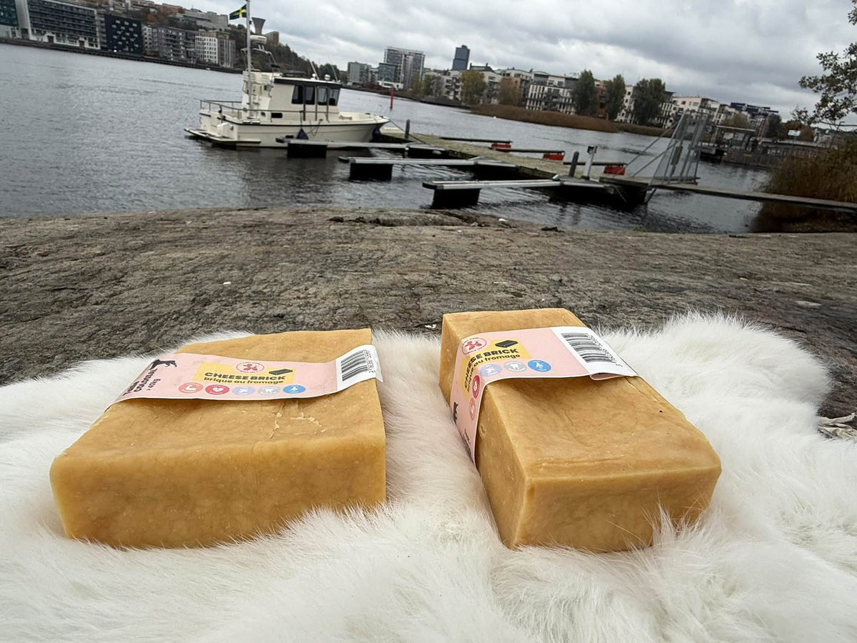 Cheese Brick – Gigantiskt ostblock för hund