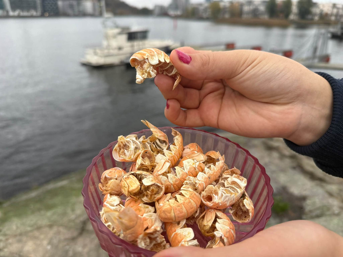 Torkade kräftor 50 g, Krispigt Premiumgodis