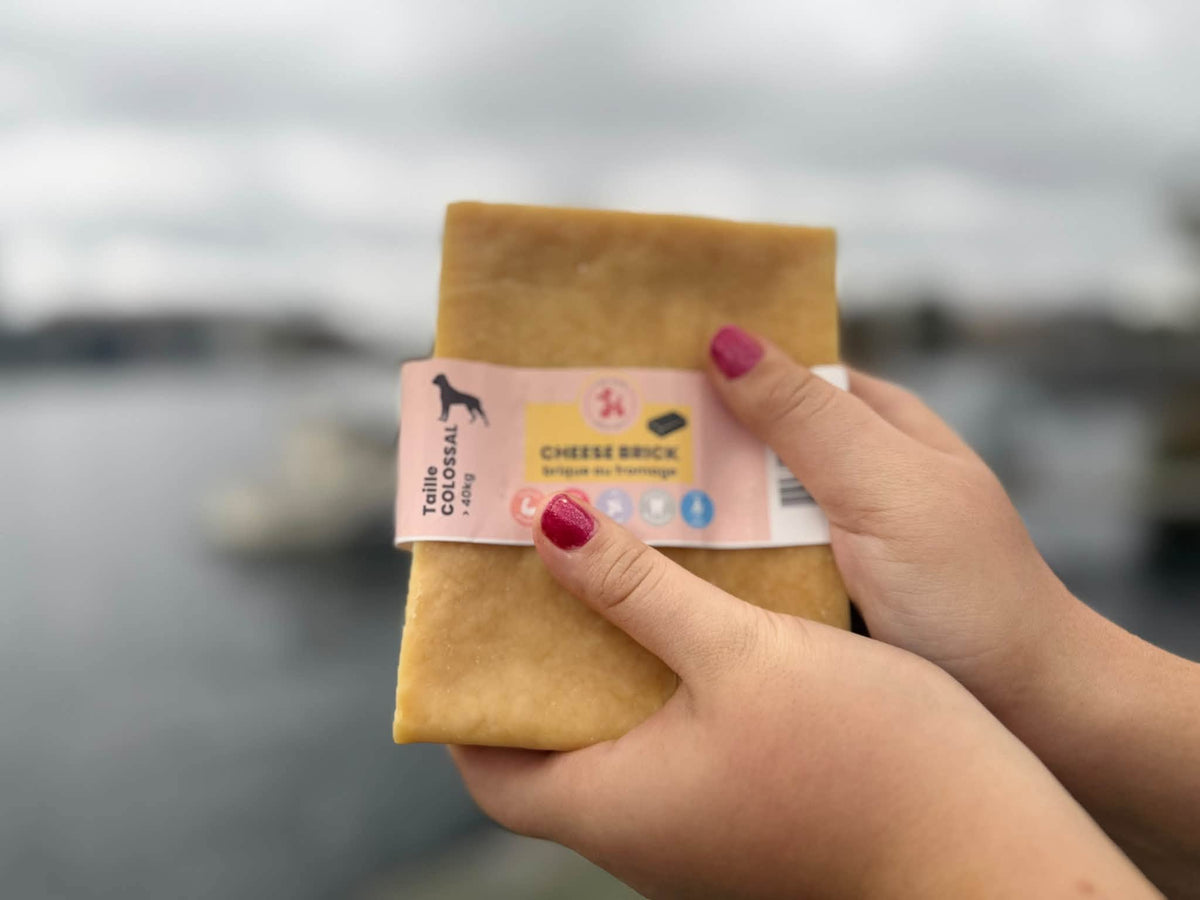 Cheese Brick – Gigantiskt ostblock för hund