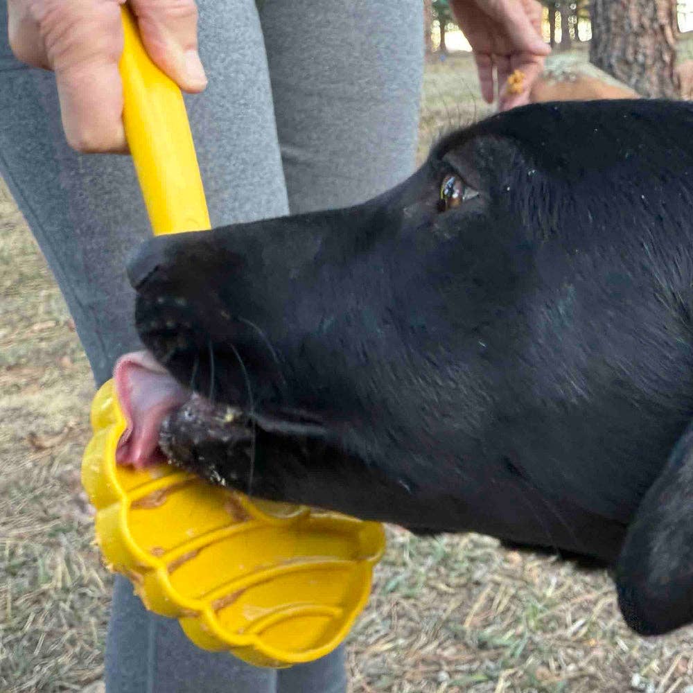 Blomslickpinne Ljusblå – SodaPup Lick Stick för hund
