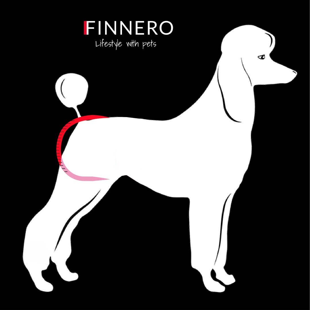 FINNERO BALLERINA Hundhygienbyxor – Rosa | Tvättbara tikskydd