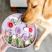 Pawsome Tails Tulpanäng – Slow feeder / långsam matskål för hund