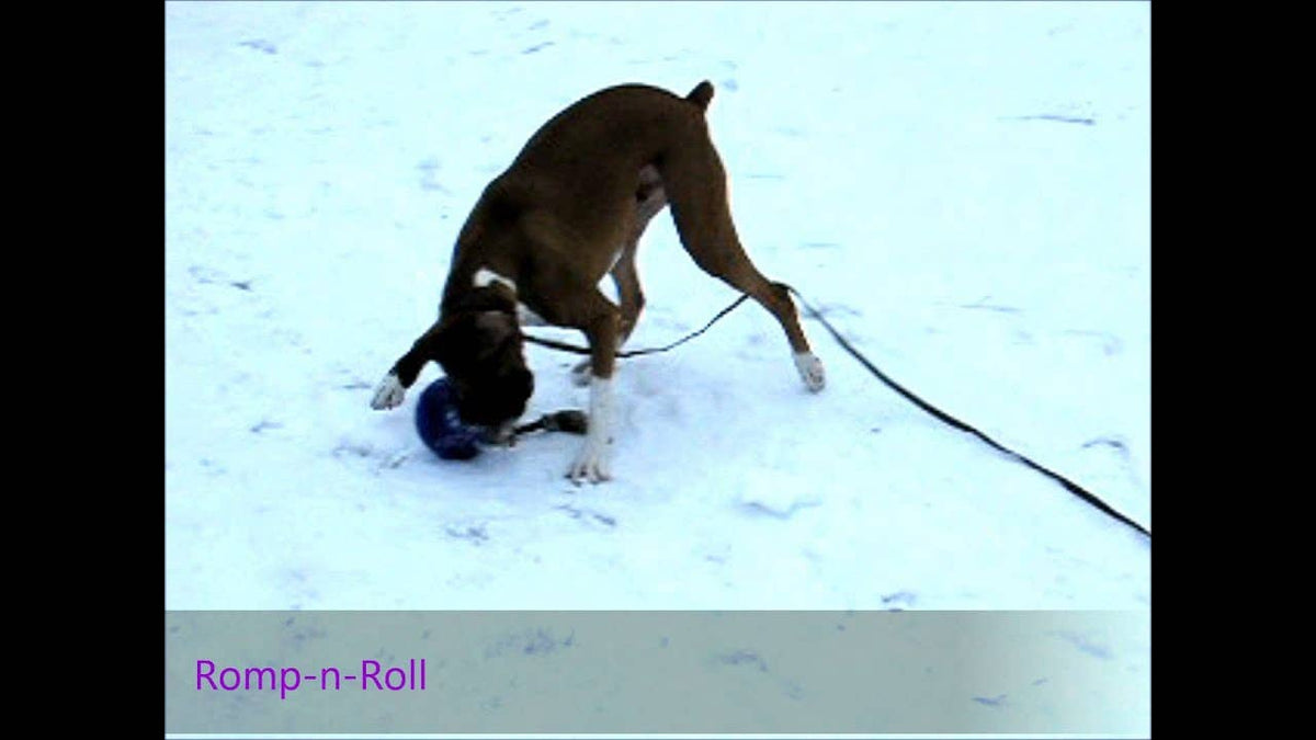 Jolly Ball Romp-n-Roll 15 cm orange – tålig hundboll med rep och vaniljdoft