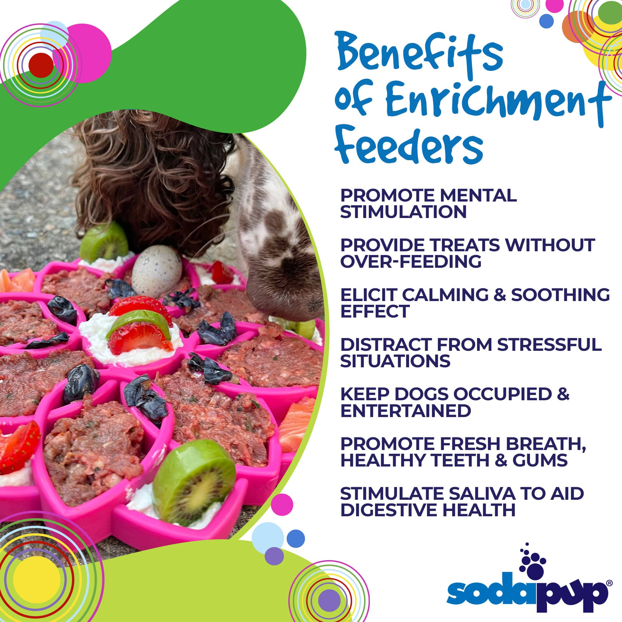 SodaPup Dog Toys - Mandala Design eTray anrikning fack för hundar: Blå