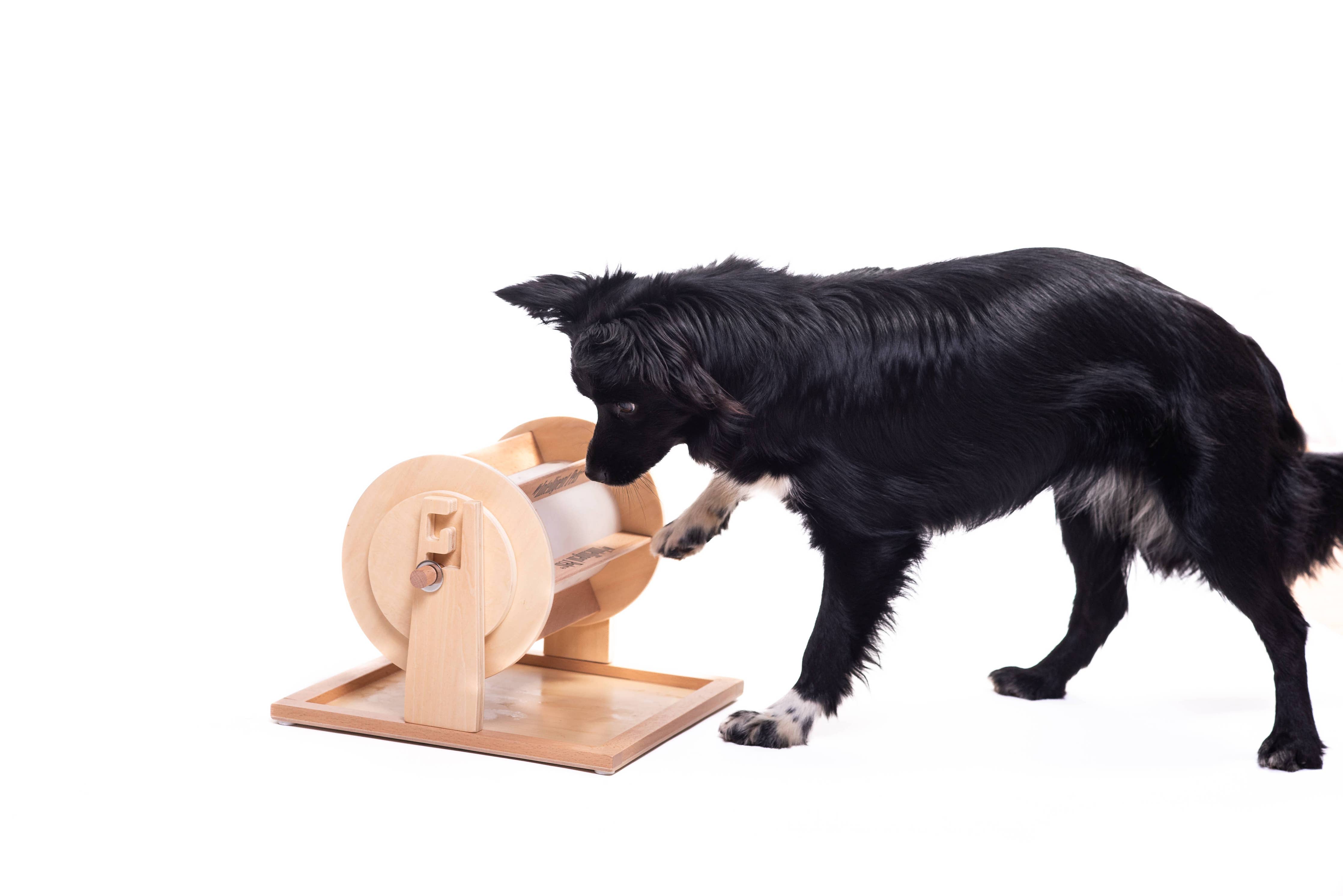 My Intelligent Dogs® Lyckohjulet – intelligensspel och godisutdelare för hundar