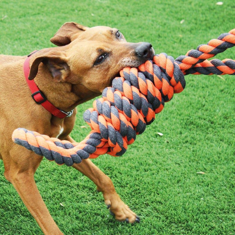 Nuts for Knots Flossrulle Extreme med 2 handtag – Slitstark dragleksak för hund