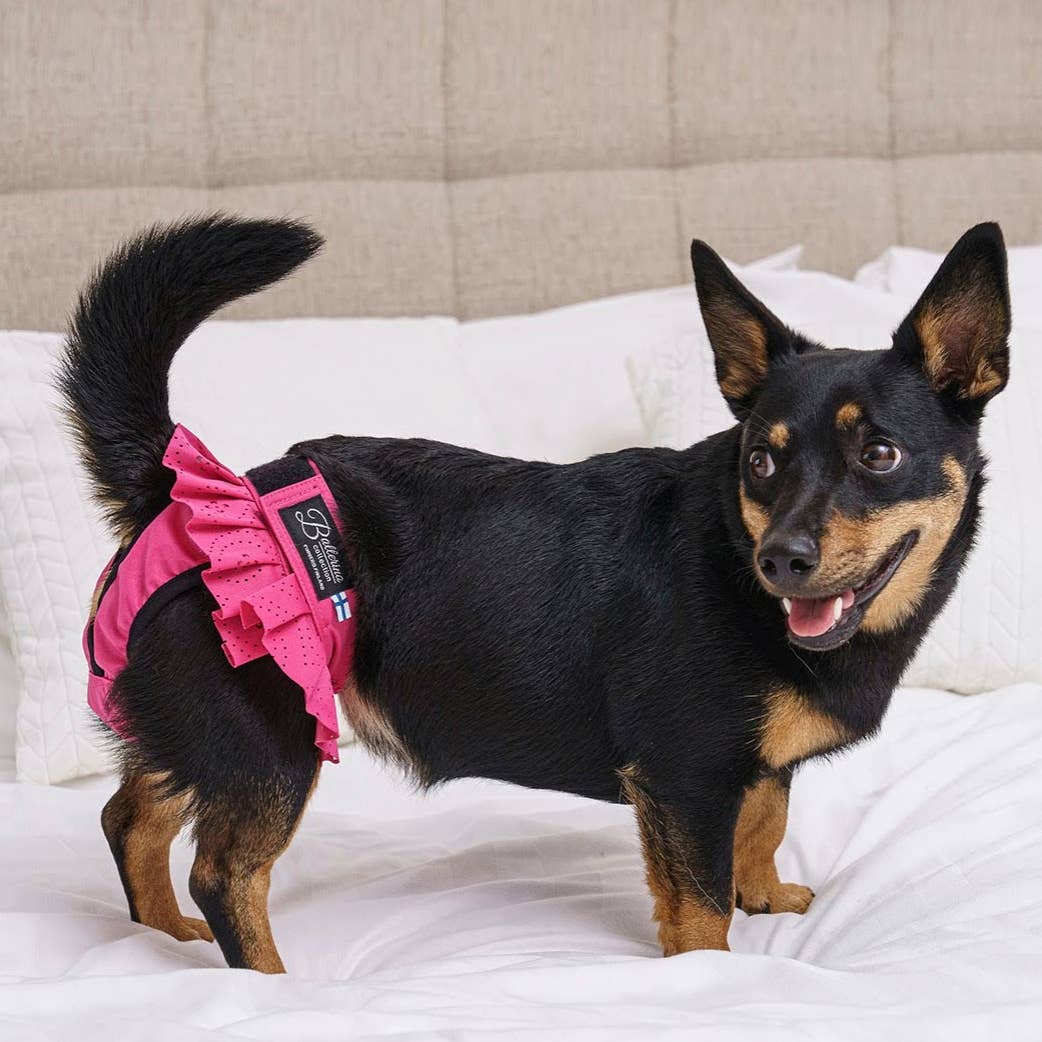 FINNERO BALLERINA Hundhygienbyxor – Rosa | Tvättbara tikskydd