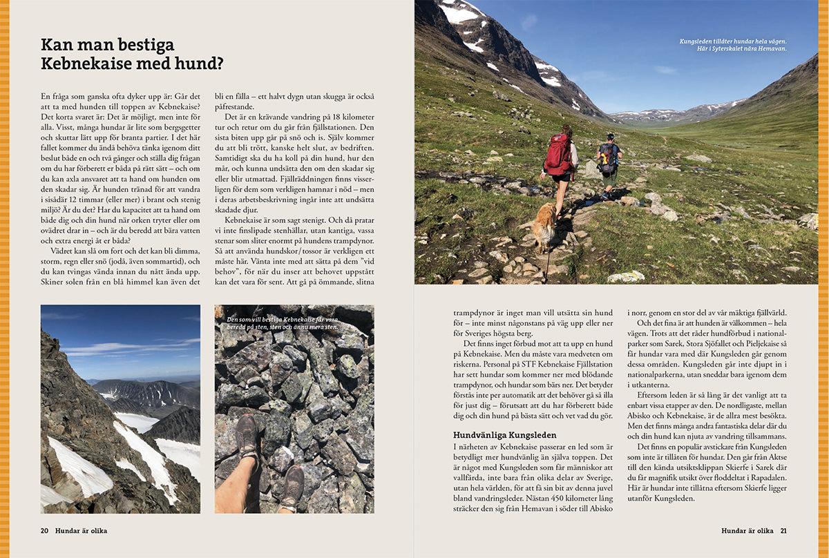 Vandra med Hund – Guide till vandring, tältliv & friluftsliv med hund