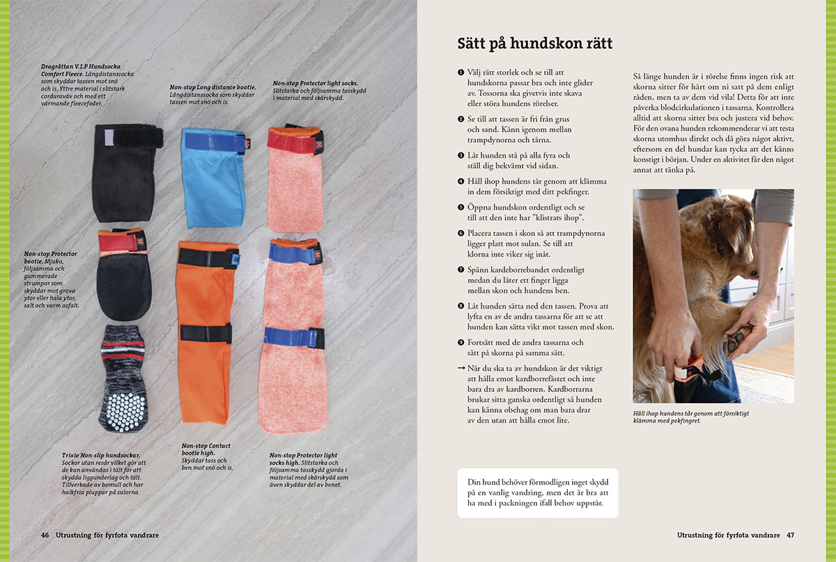 Vandra med Hund – Guide till vandring, tältliv & friluftsliv med hund