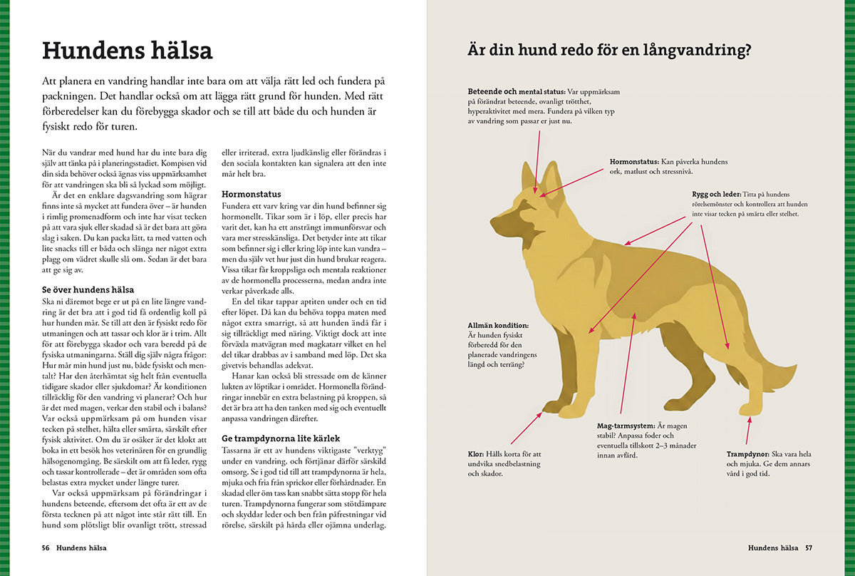 Vandra med Hund – Guide till vandring, tältliv & friluftsliv med hund