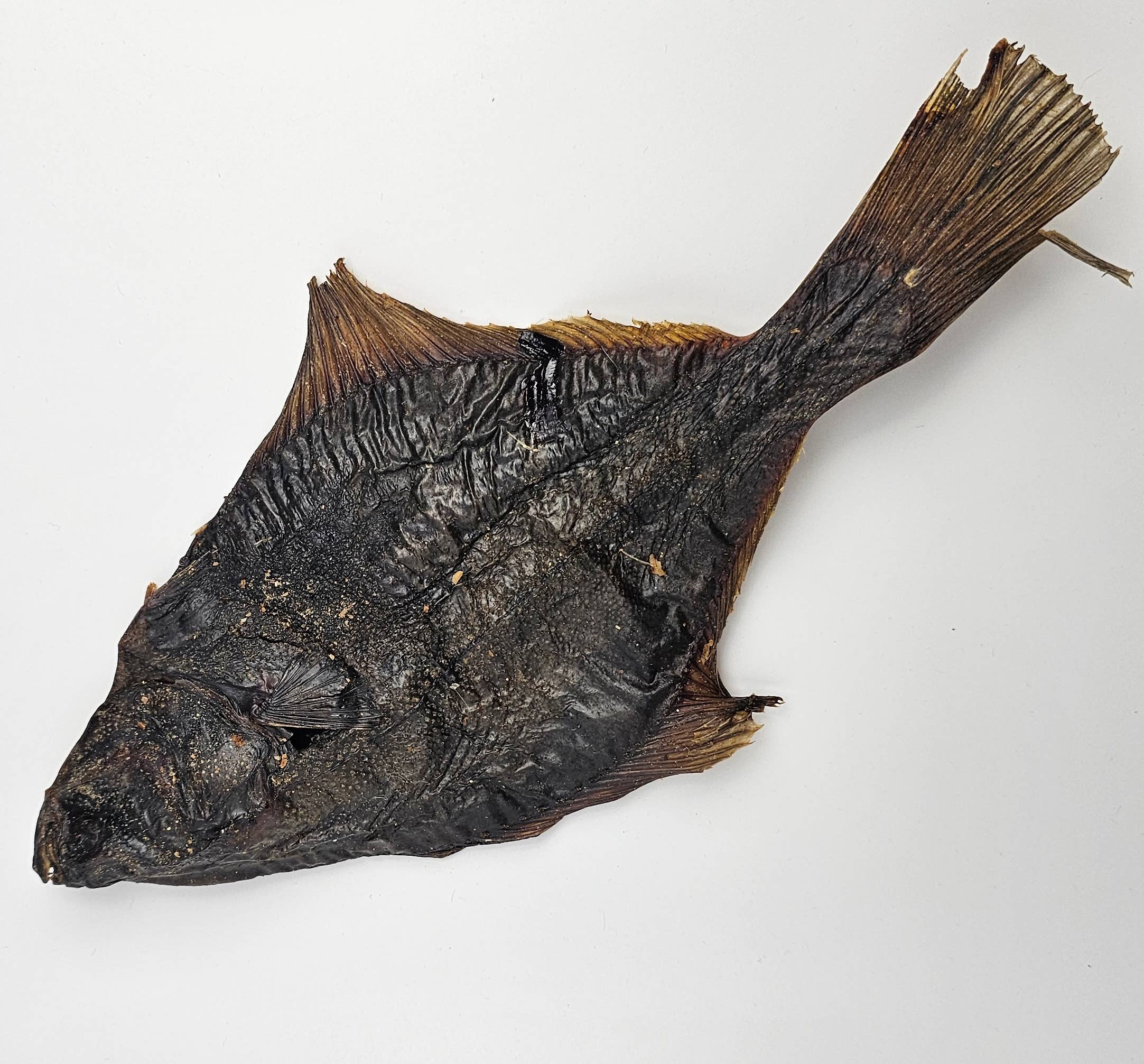 Torkad flundra – naturligt fiskgodis för hundar
