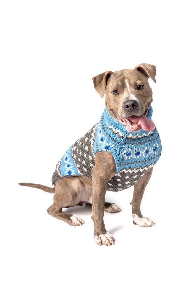 Chilly Dog ljusblå Fair Isle – handstickad hundtröja i XXXL