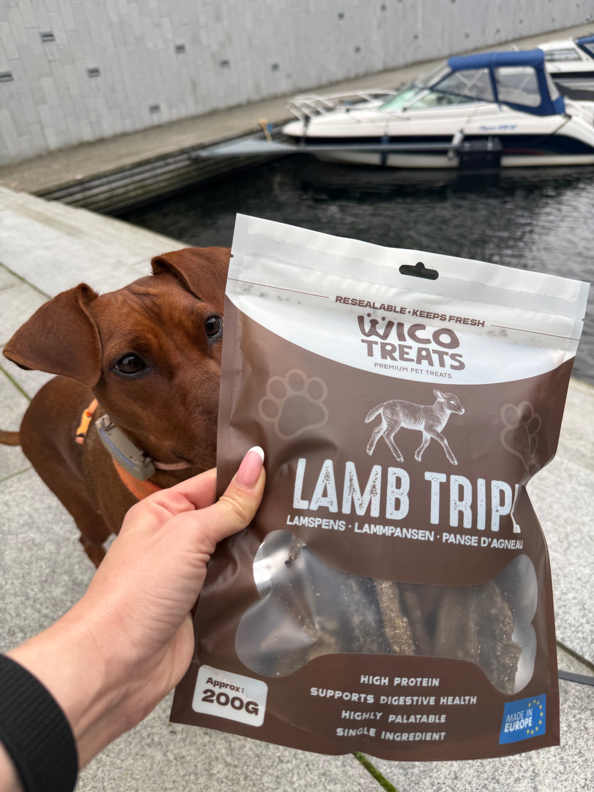Lammvåm 200 g – monoprotein lamm