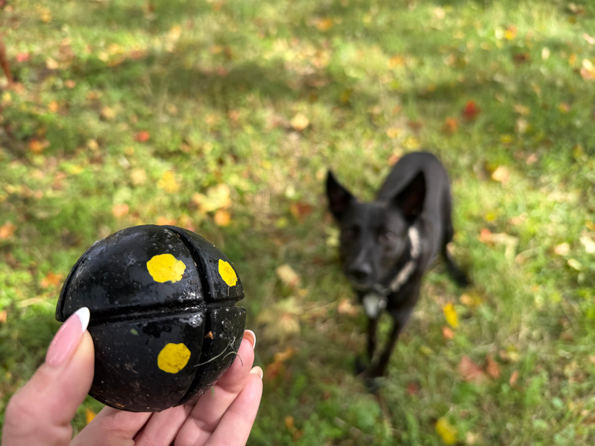 Goughnuts Interactive Black 50 – Tuffaste boll Livstidsgaranti