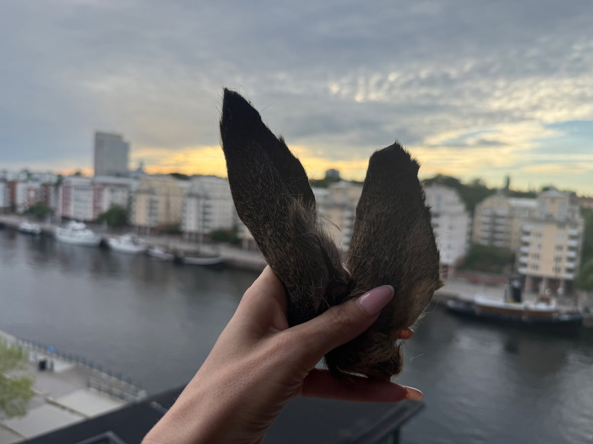 Rådjursöron med päls 2 st