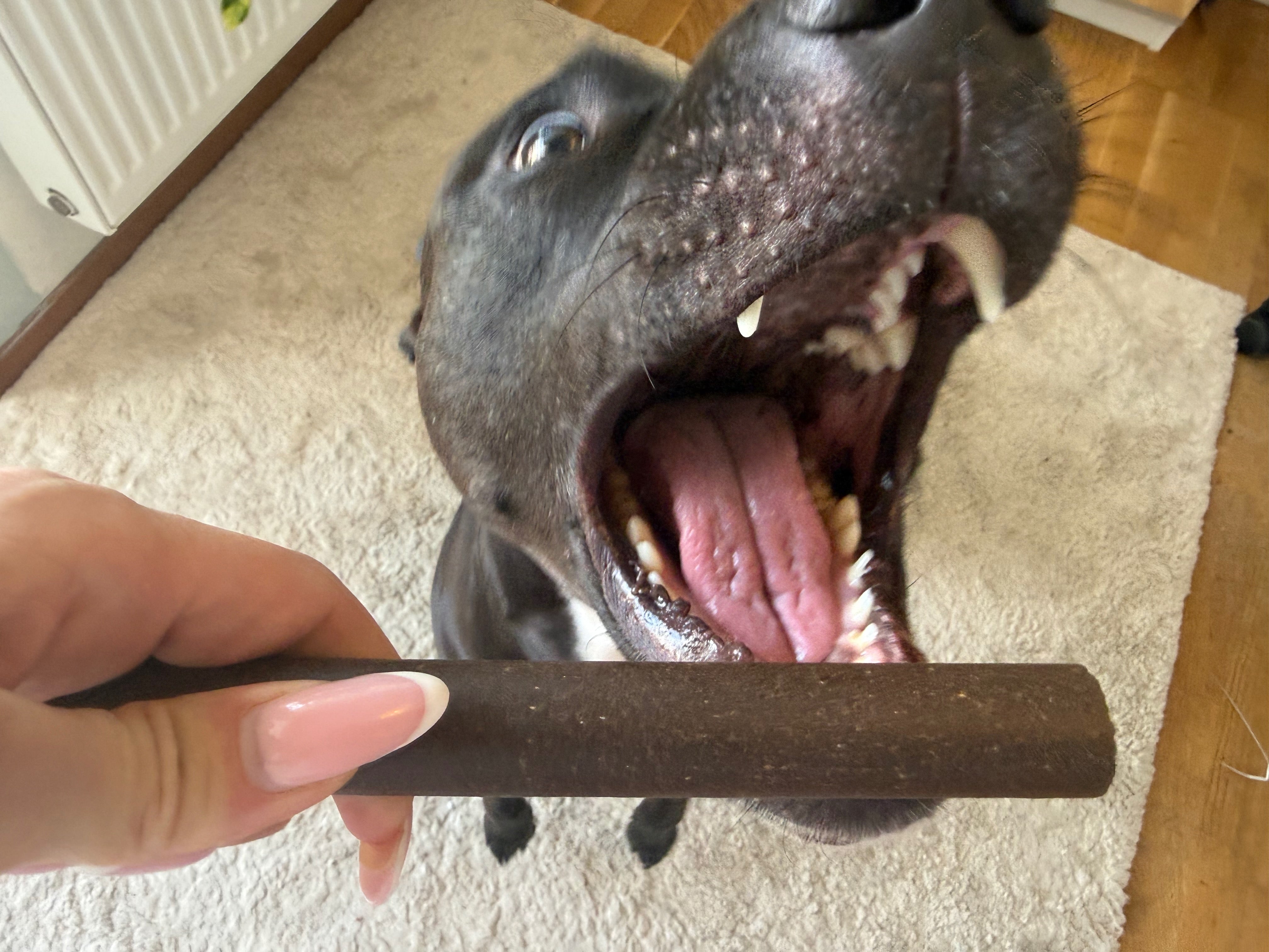Denta Roll XXL Hjort & potatis – spannmålsfritt hundtugg för tandvård
