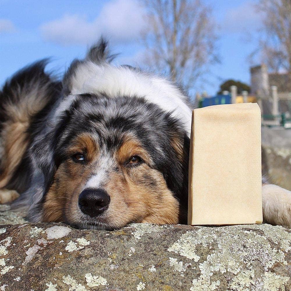 Cheese Brick – Gigantiskt ostblock för hund