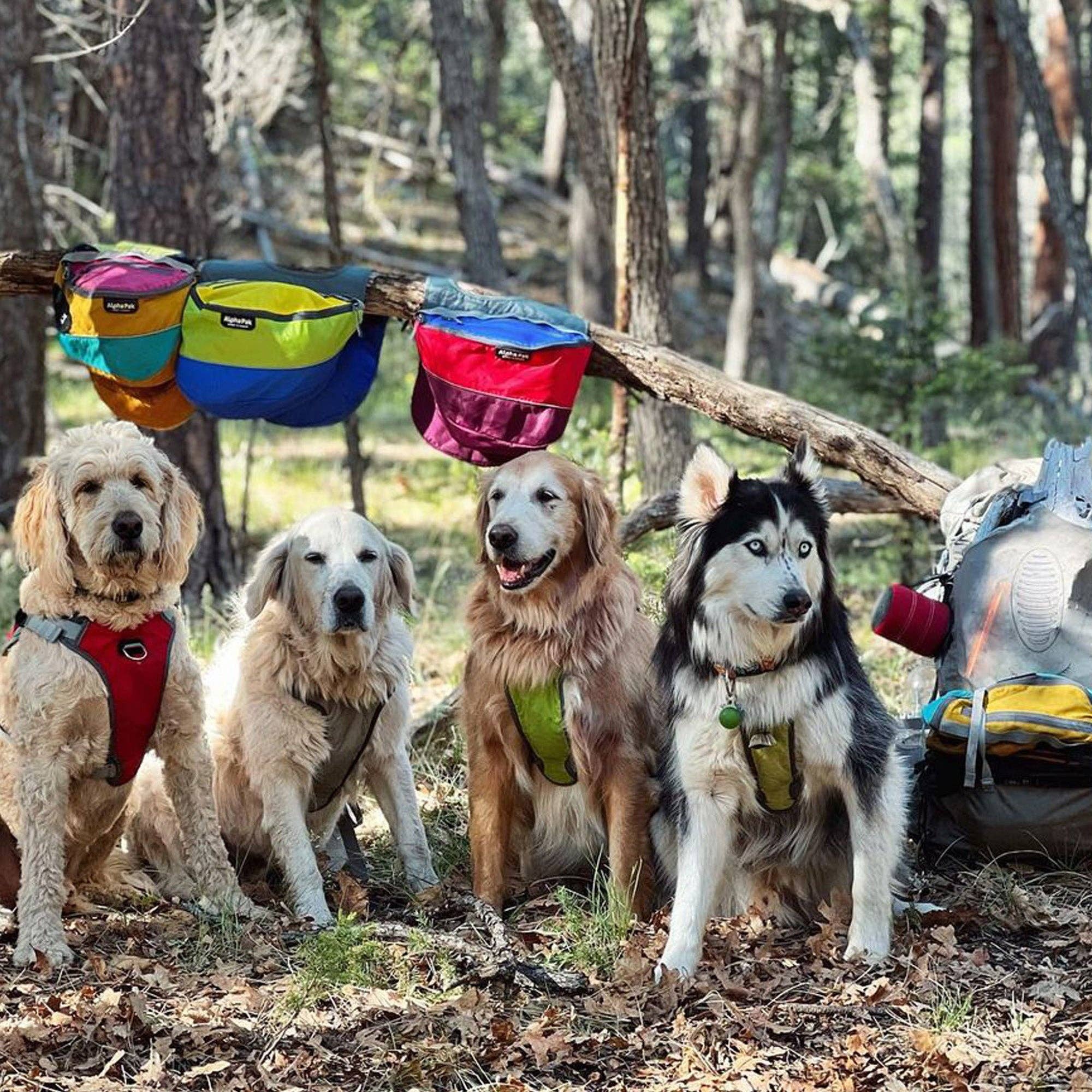 Camping With Dogs and AlphaPak - Adventurer 2-delat hundpaket med EZ Latch™: Lila / Medium - Bröst 22-27in - Hals 14-20in.