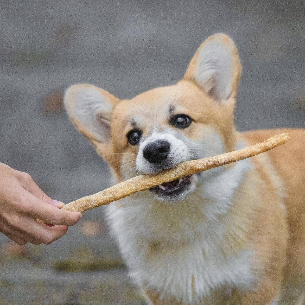 Rödfisksticks – naturligt hundgodis av vit fisk