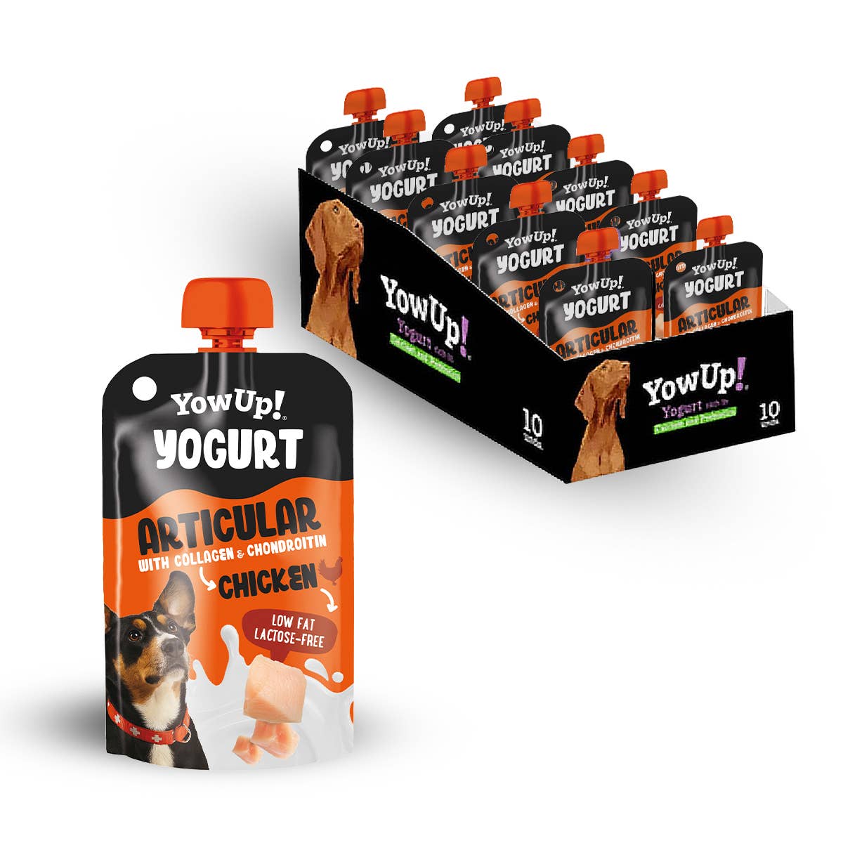 YowUp Fit & Vital – Laktosfri yoghurt med kollagen & glukosamin för hund