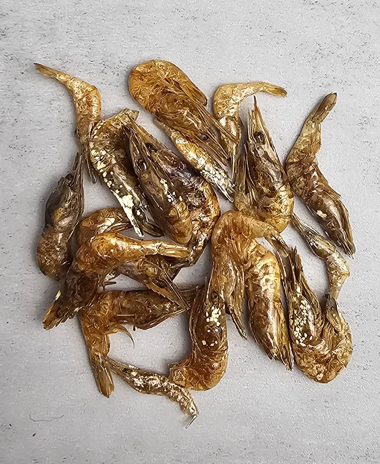 Spirit of Wild - Spirit of Wild Snack hela räkor : 50g