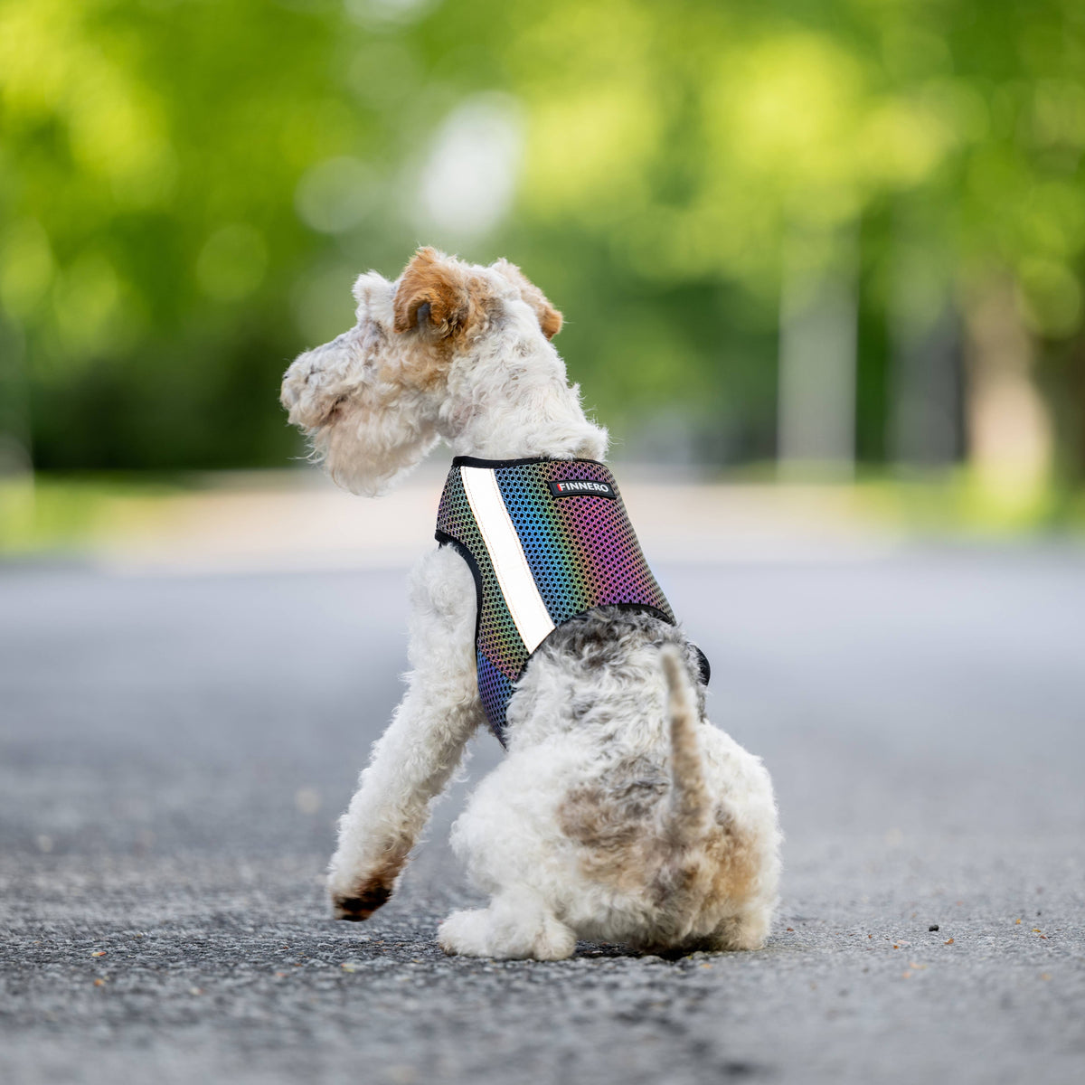 GLOW – Helreflekterande reflexväst för hund med regnbågseffekt
