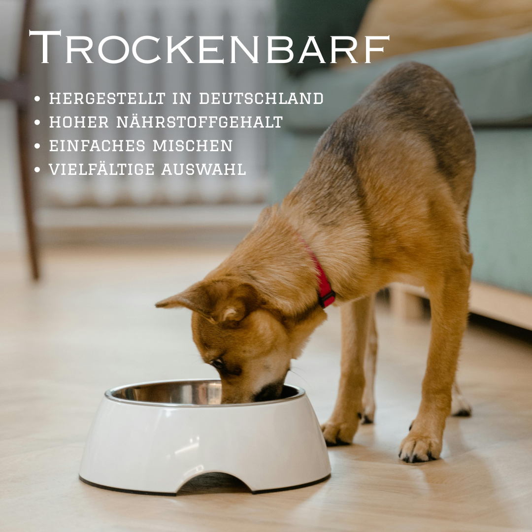 Pamico – Frystorkat hästkött | MIX MEAL TorrBARF för hundar & katter (120 g)