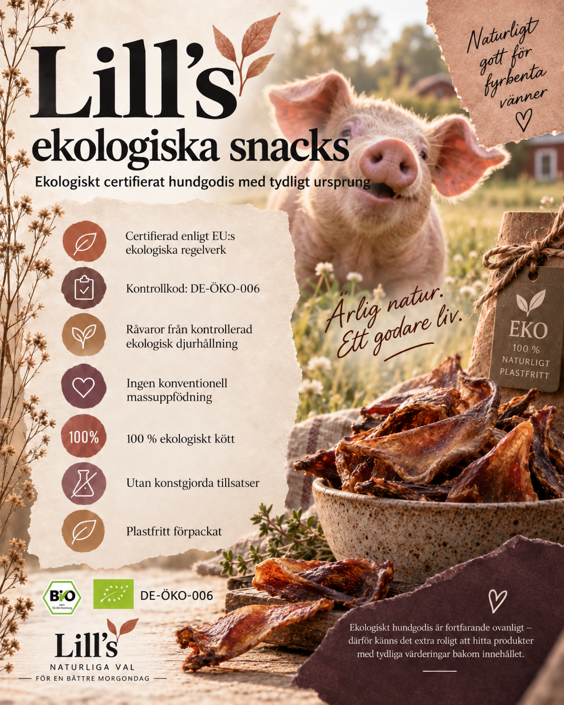 Ekologiska grisöron 2 st NYHET!