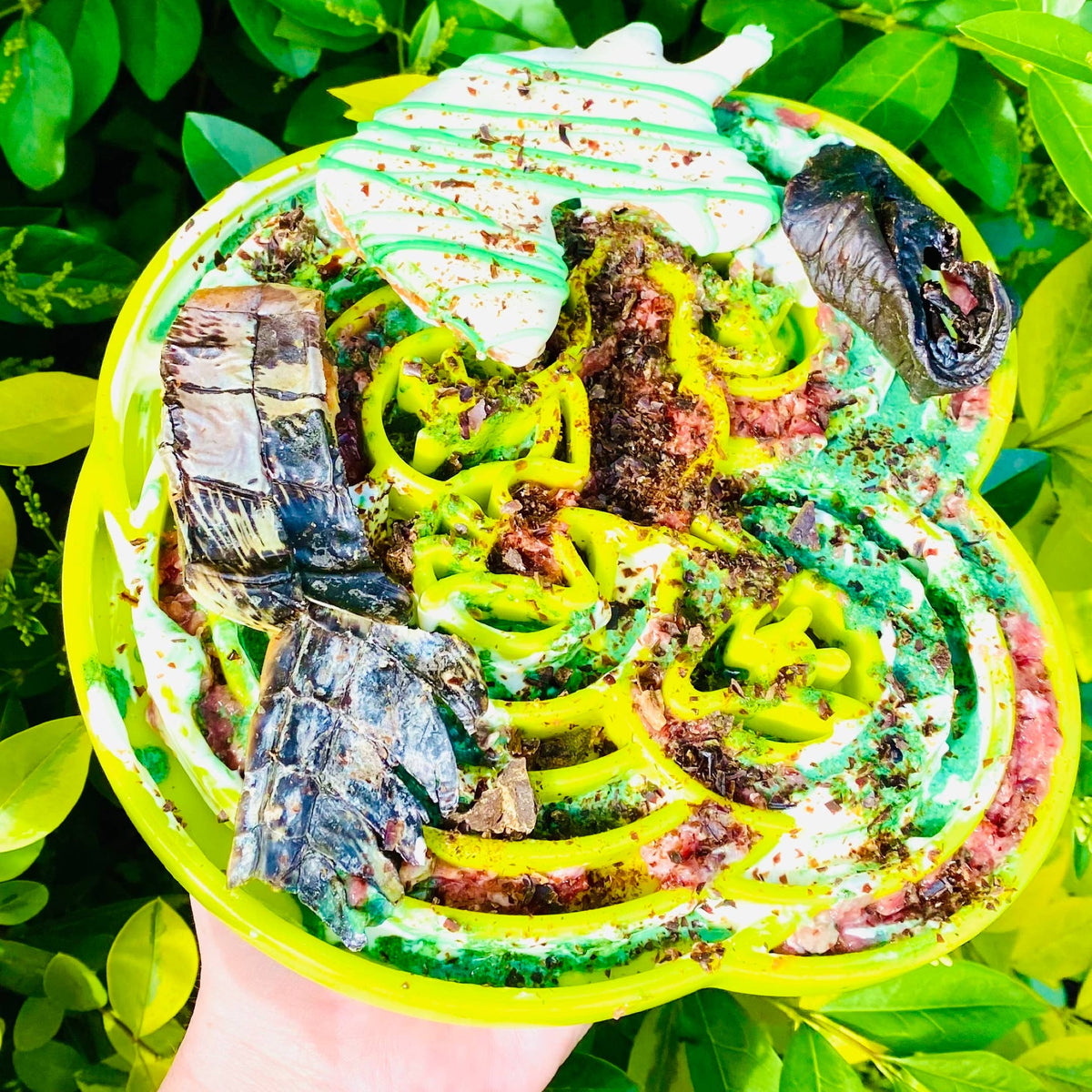 Nyhet! Krokodilchips 100 g – Naturligt hundgodis av 100 % krokodil
