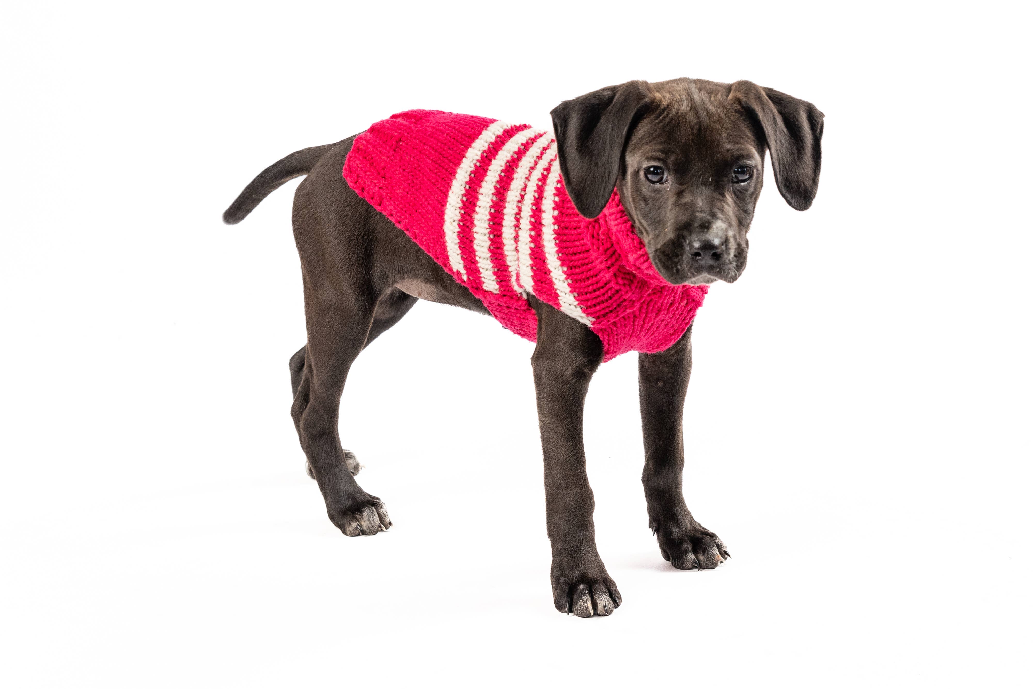Chilly Dog Katie Stripe – handstickad hundtröja i alpackaull Medium