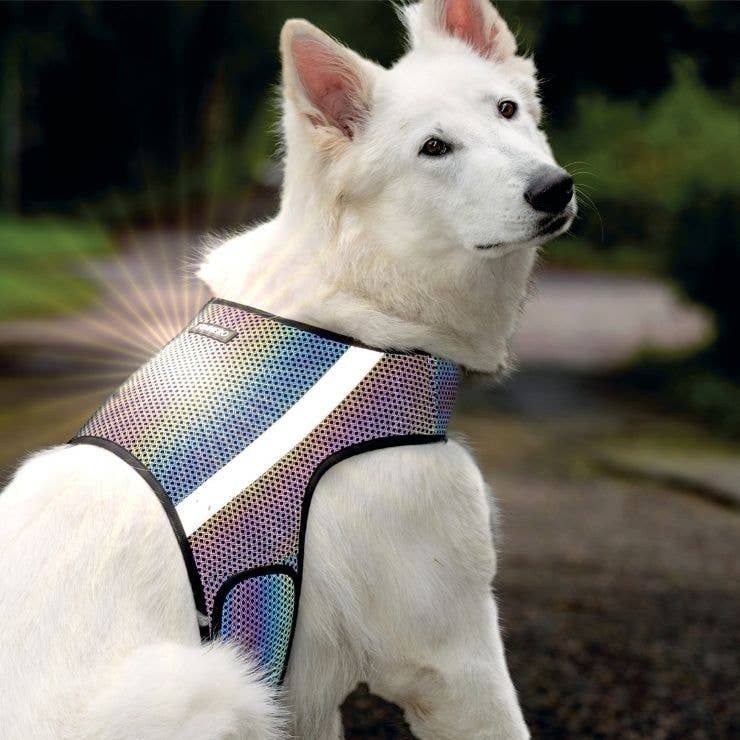 GLOW – Helreflekterande reflexväst för hund med regnbågseffekt
