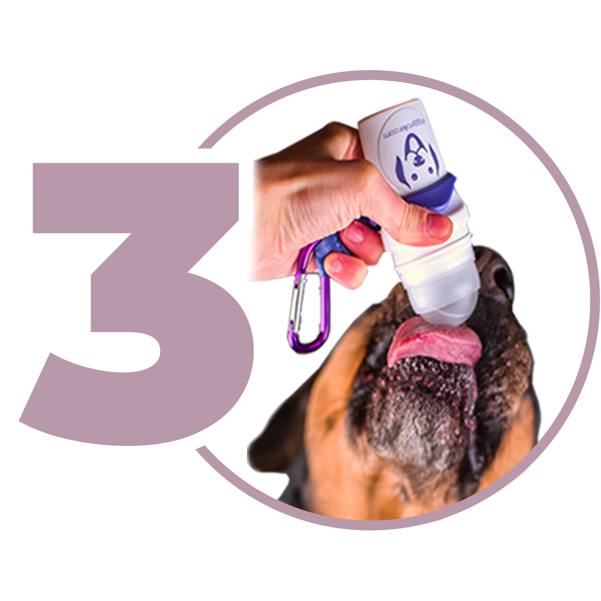 Doggyshake Energy – Energidryck för hundar | 24 portionspåsar