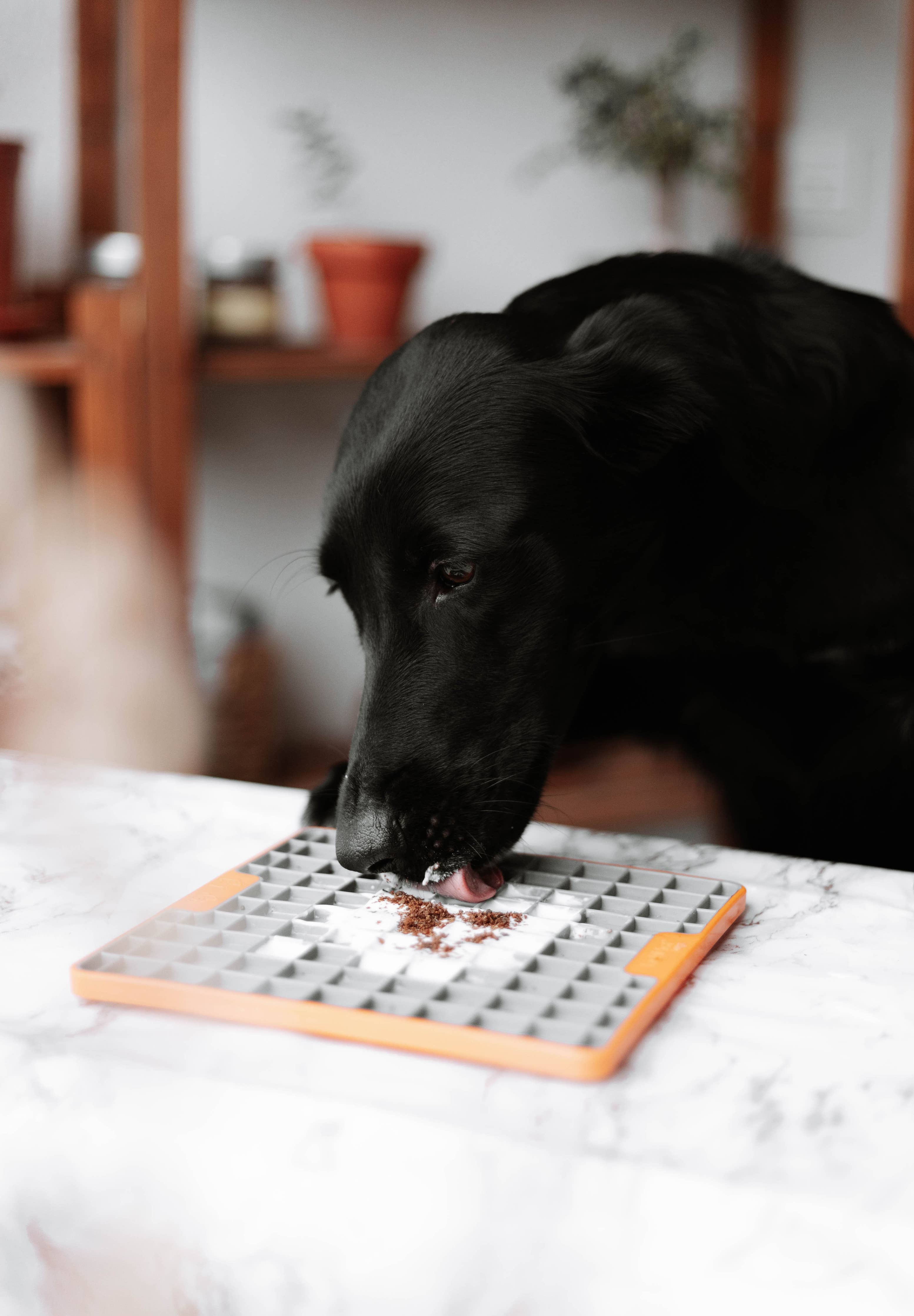 Topping Nötlever – naturlig smakförhöjare för hund och katt, 100 g