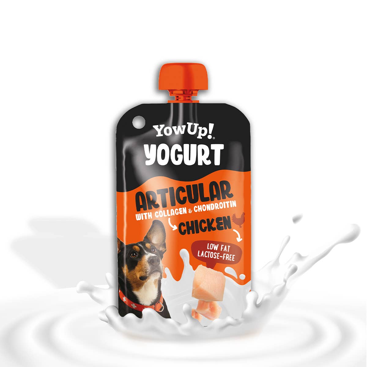 YowUp Fit & Vital – Laktosfri yoghurt med kollagen & glukosamin för hund
