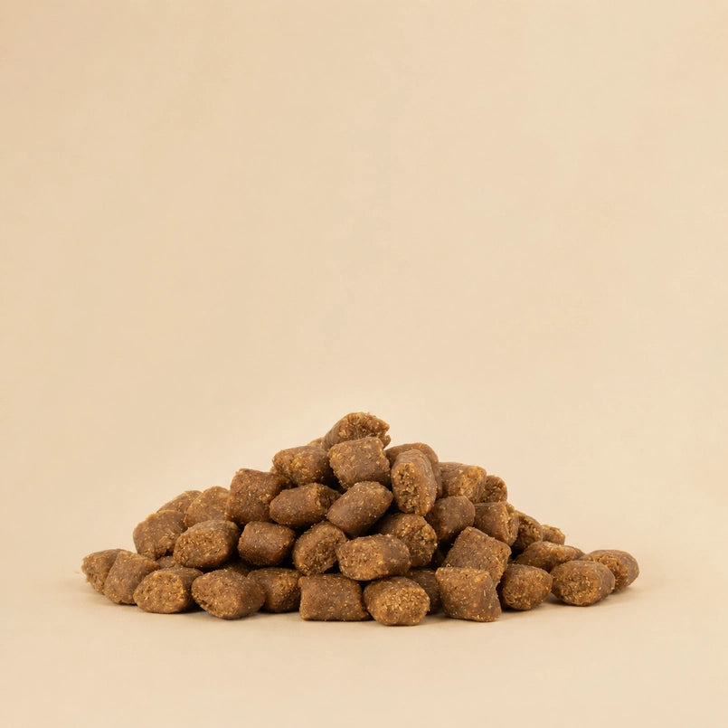 Country Roast – Kallpressat hundfoder med 75 % anka & fisk, 3 kg