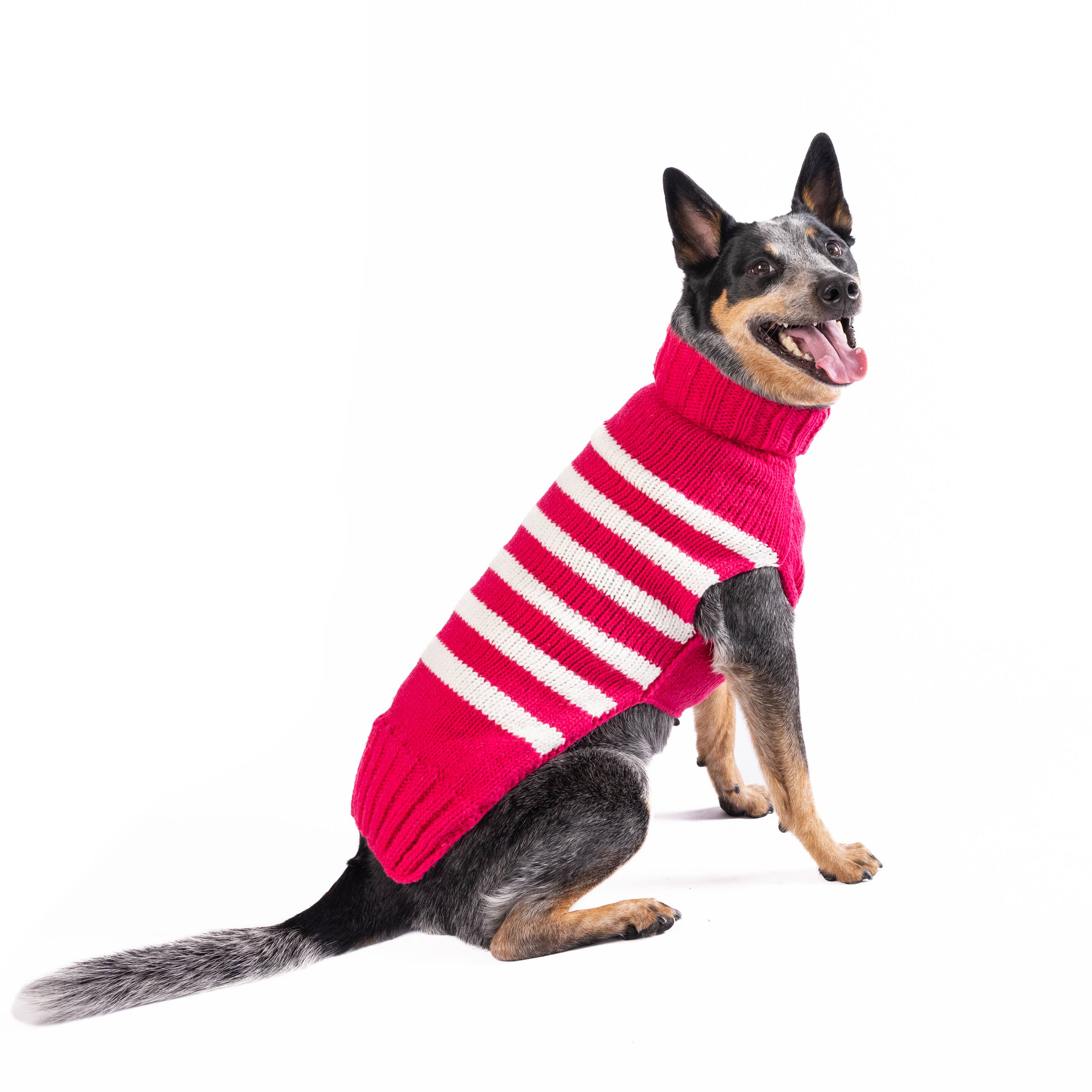 Chilly Dog Katie Stripe – handstickad hundtröja i alpackaull Medium