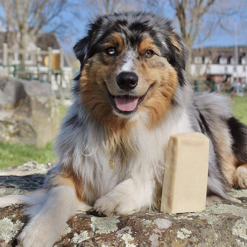 Cheese Brick – Gigantiskt ostblock för hund