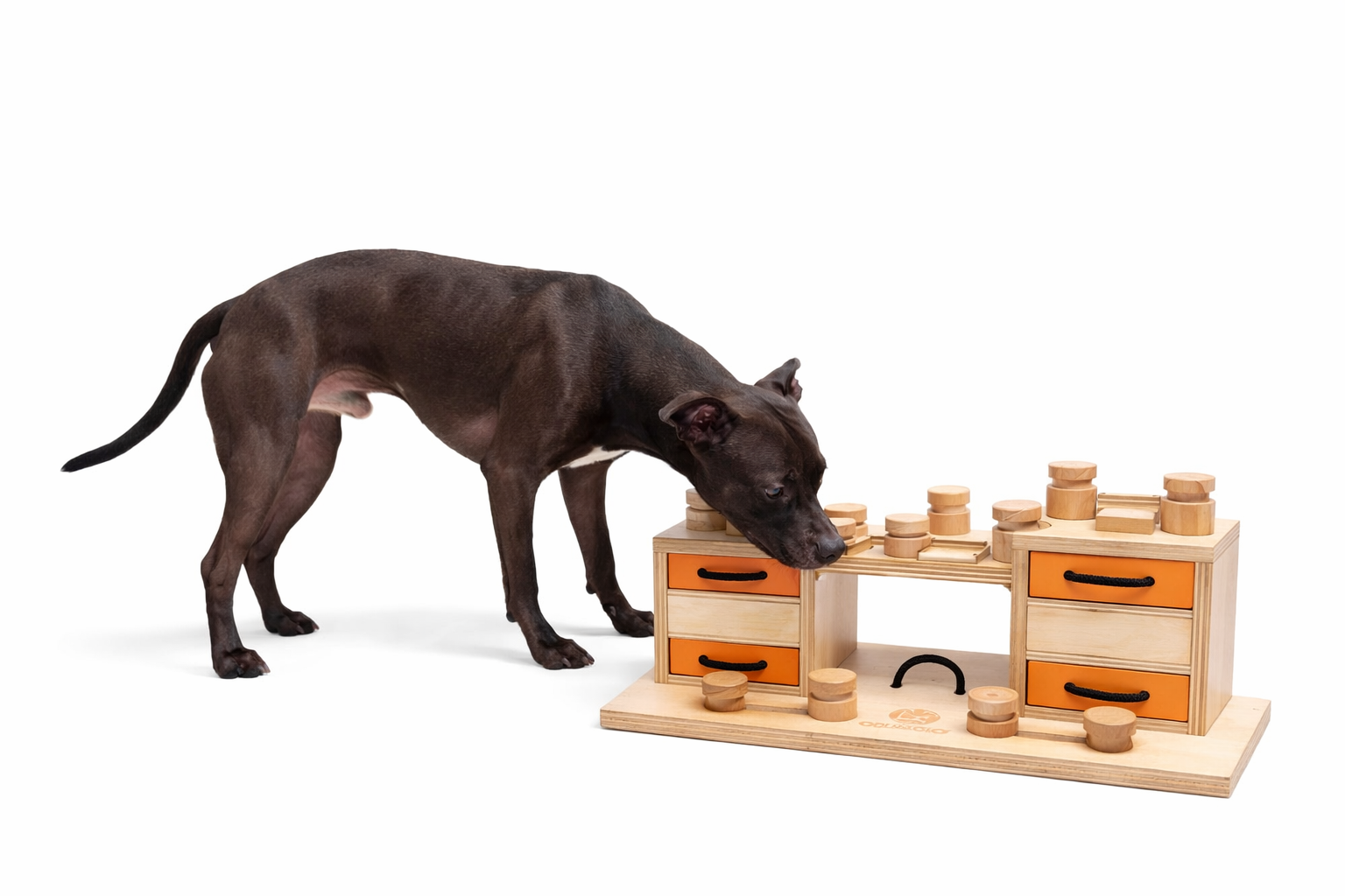 My Intelligent Dogs® Two Towers – avancerat intelligensspel i trä för hundar