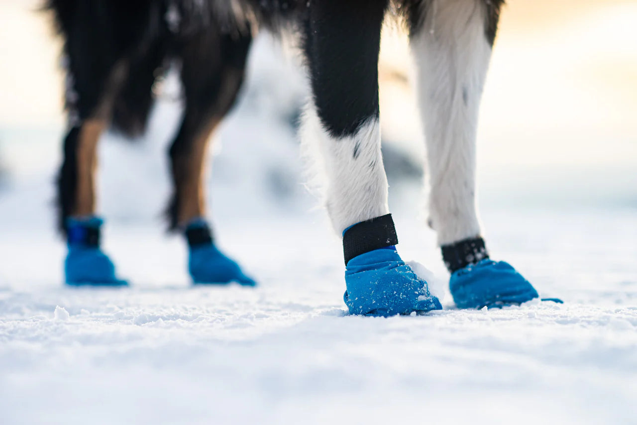 Non-stop dogwear Long Distance Bootie – Ultralätta tasskydd för aktiva hundar