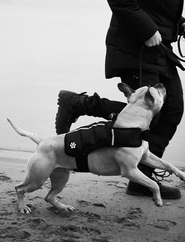 Hounzy Viktsele för Hund – Justerbar Viktväst för Muskelträning & Kondition