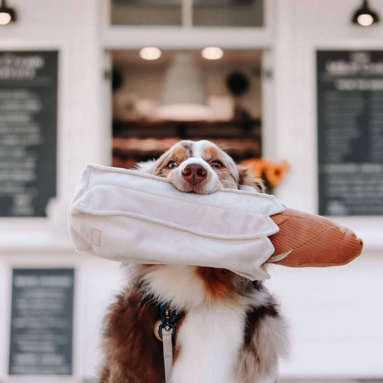 Lambwolf EU – BAGUETTE // Berikningsleksak för hund // Snuffle-leksak
