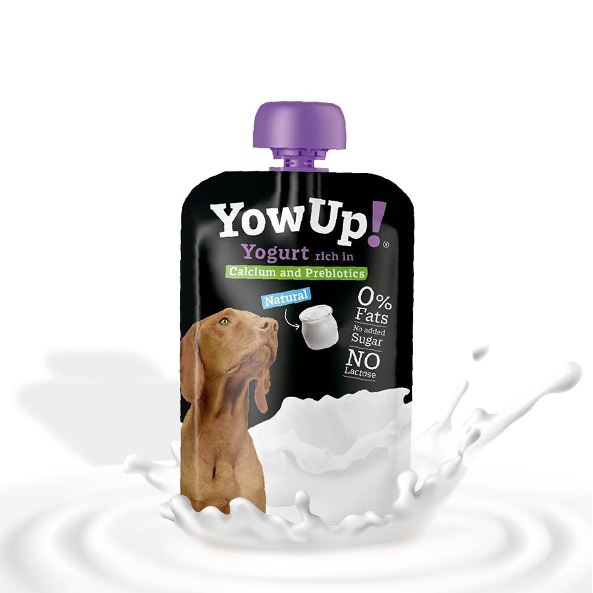 YowUp Naturlig Yoghurt för Hundar – Prebiotisk, Laktosfri & Fettfri