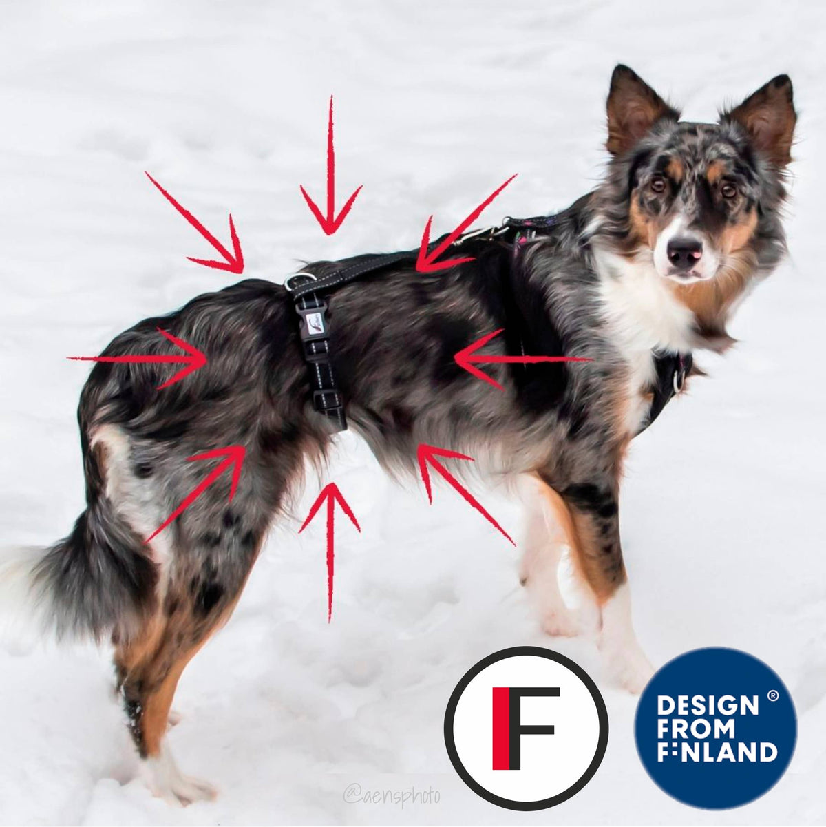 RESCUE – Säkerhetsrem till hundsele | Anti-escape