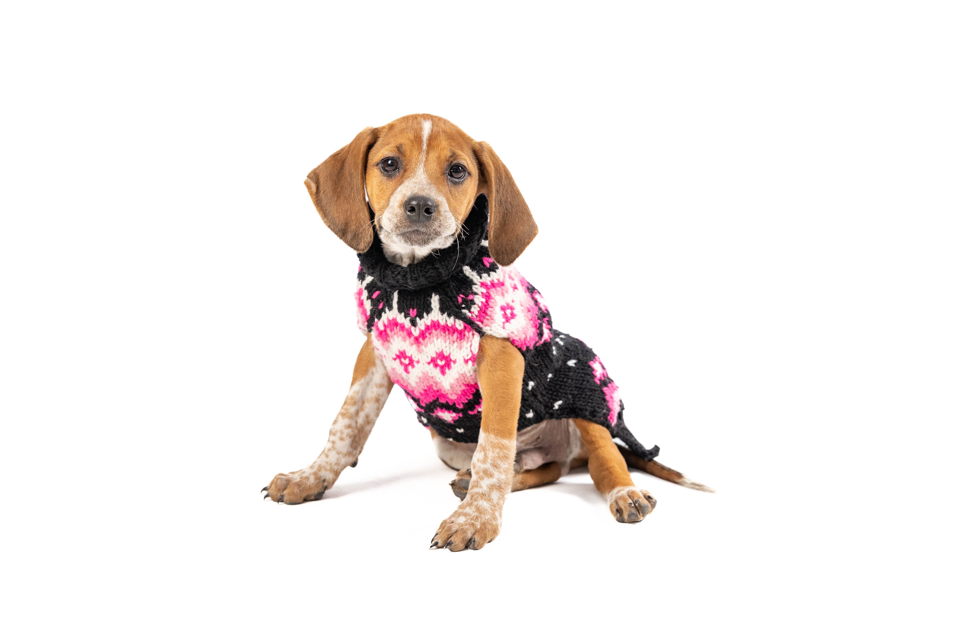 Chilly Dog Arctic Pink – handstickad hundtröja i alpackaull Large