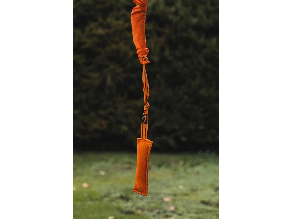Expander Medium 130–185 cm – Expander för Springpole och Dragträning med Hund