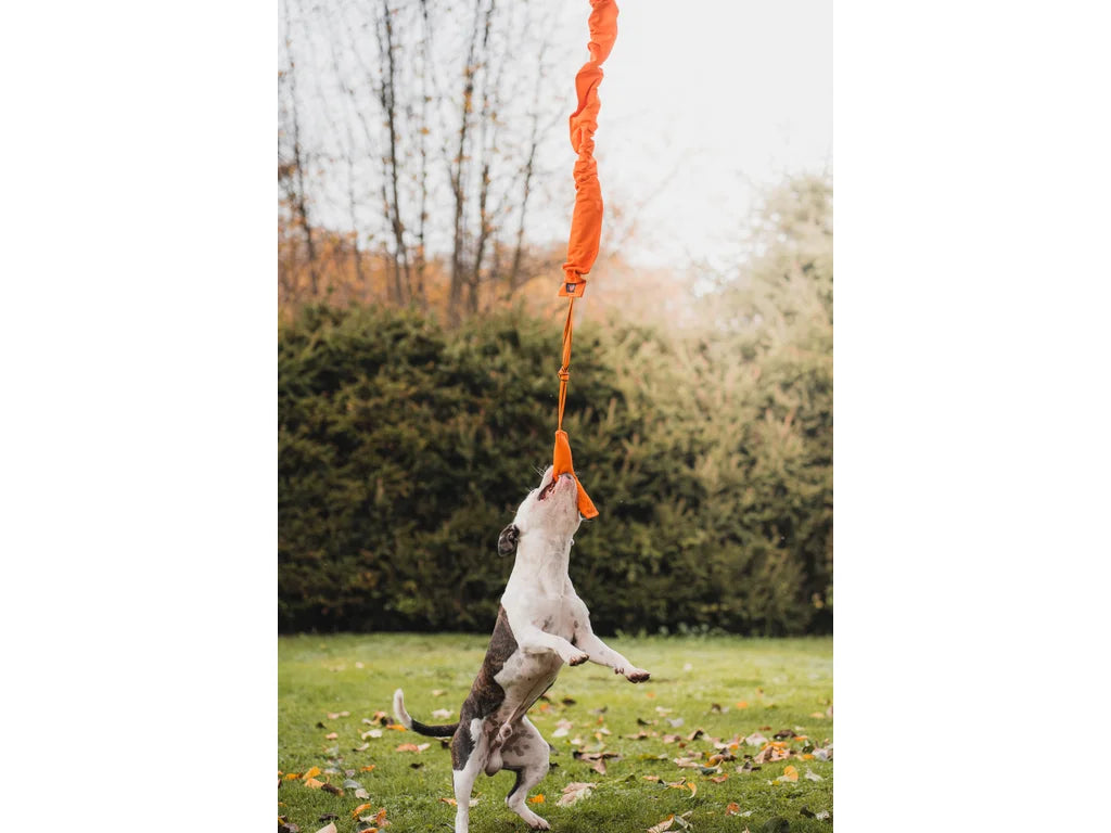 Expander Medium 130–185 cm – Expander för Springpole och Dragträning med Hund