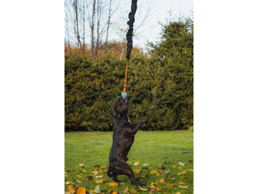 Expander Hard – Kraftig Expander för Drag- och Kampträning med Hund 110-170 cm