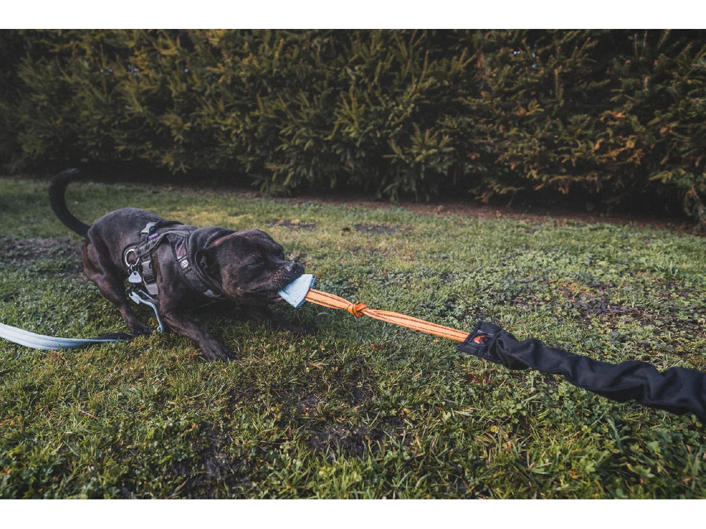 Expander Hard – Kraftig Expander för Drag- och Kampträning med Hund 110-170 cm